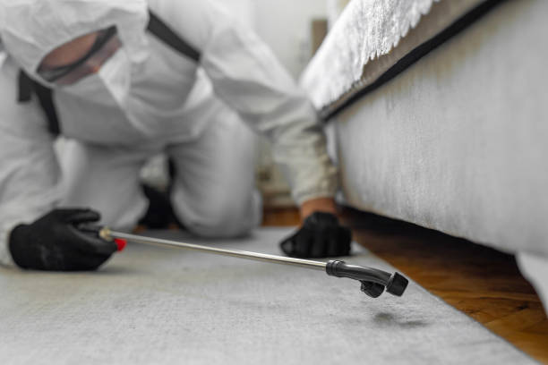 Professional Termite Control technician working in Seis Lagos, TX