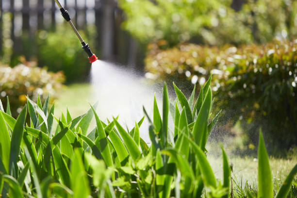 24/7 Emergency Termite Control experts in Seis Lagos, TX